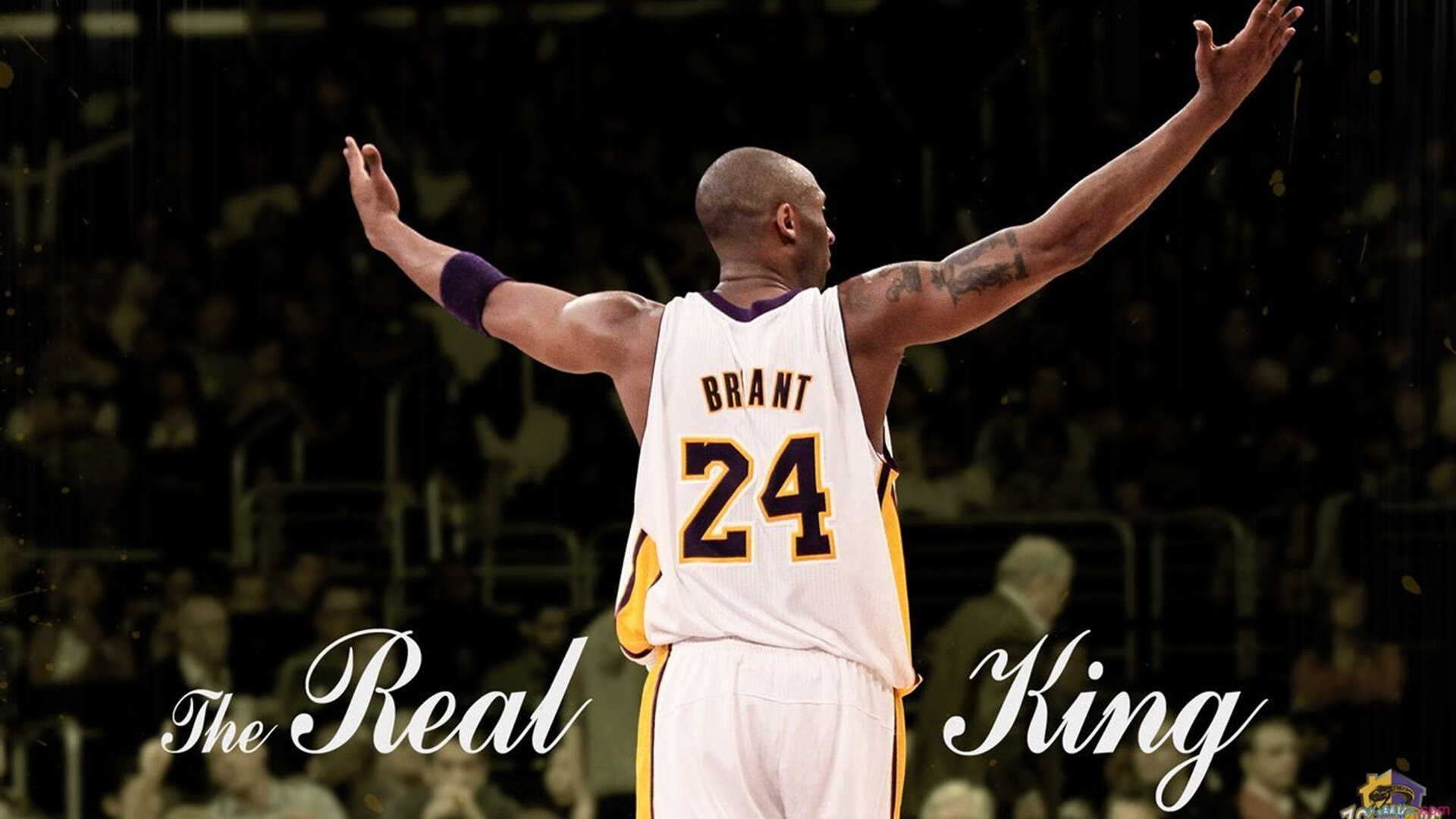 快船被逆转,泰伦卢战术布置饱受质疑,泰伦卢什么时候去的快船